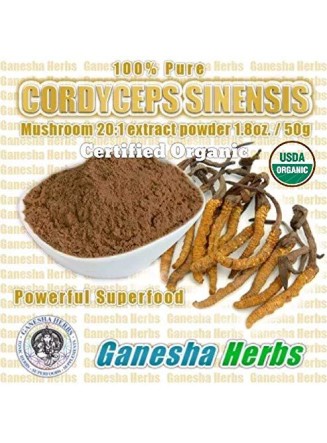 20:1 Extract Bulk 1kg - 100% Pure Certified Organic Cordyceps Sinensis Mushroom