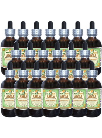 Amla (Phyllanthus Emblica) Glycerite, Organic Alcohol-Free Liquid Extract (Brand Name: HerbalTerra, Proudly Made in USA) 20x4 fl.oz (20x120 ml)